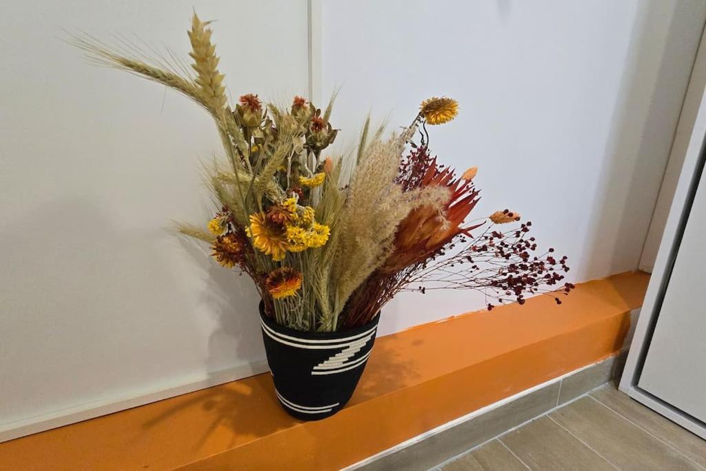 Studio Luxorange ماسي المظهر الخارجي الصورة